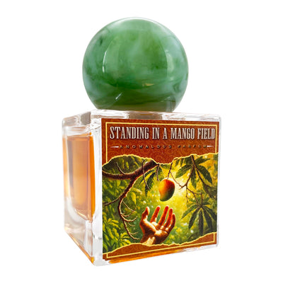 Anomalous Parfum Standing in a Mango Field