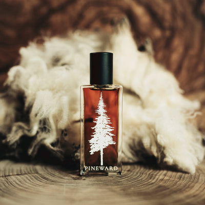 Pineward Shire Eau de Toilette - Pineward Parfume Fragrant
